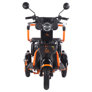 KUGOO T1 Electric Tricycle KUGOO Kugoo Ride