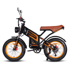 KUGOO V5 Electric Bike